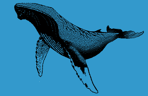 humpbackwhale.gif